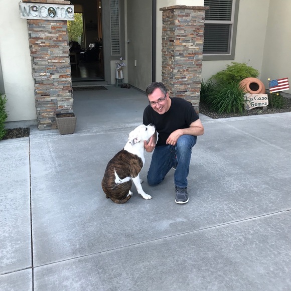 Meet your Posher, Posh - Picture 1 of 1